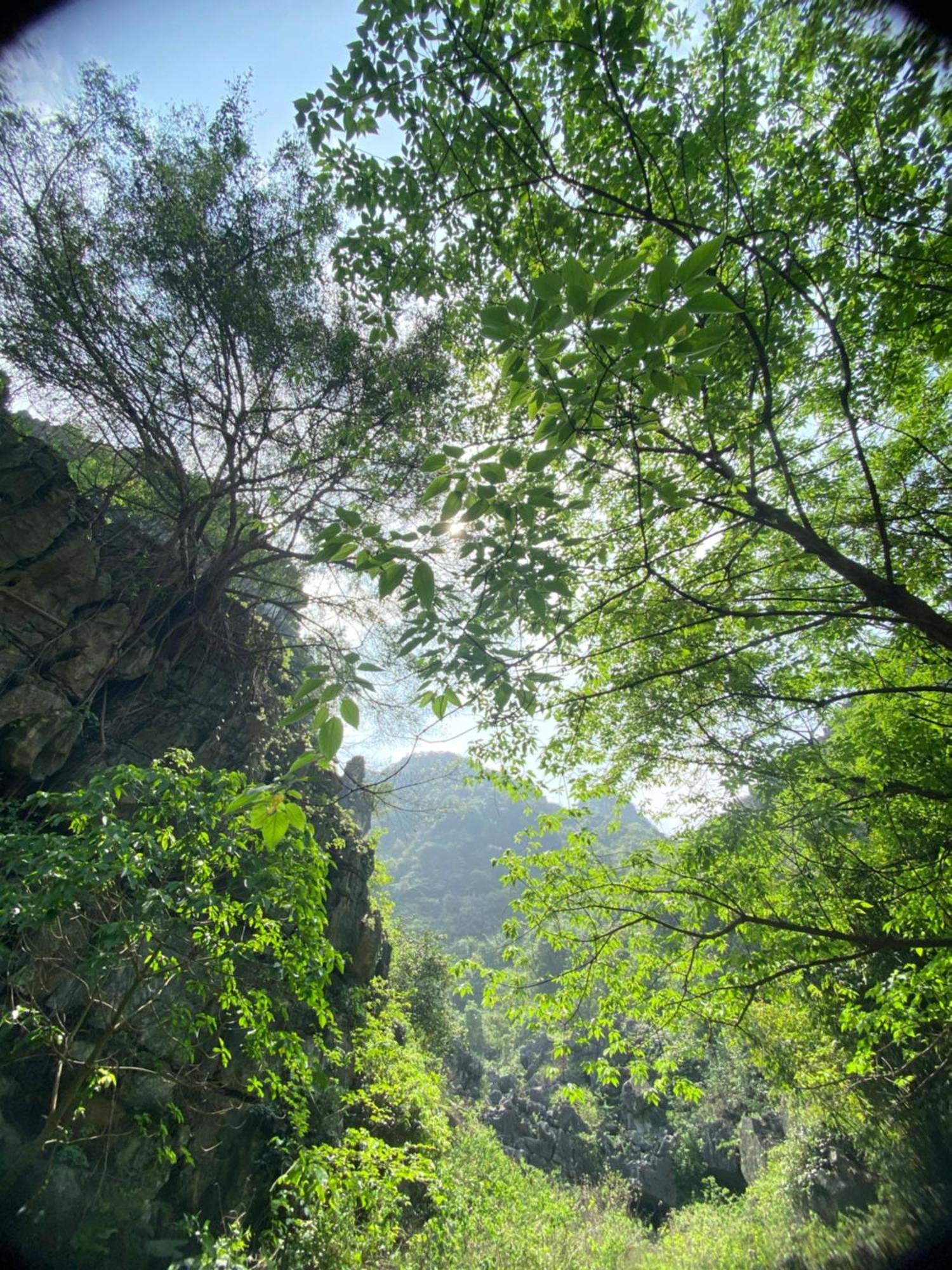 Tam Coc Moutainside Homestay Ninh Bình Kültér fotó