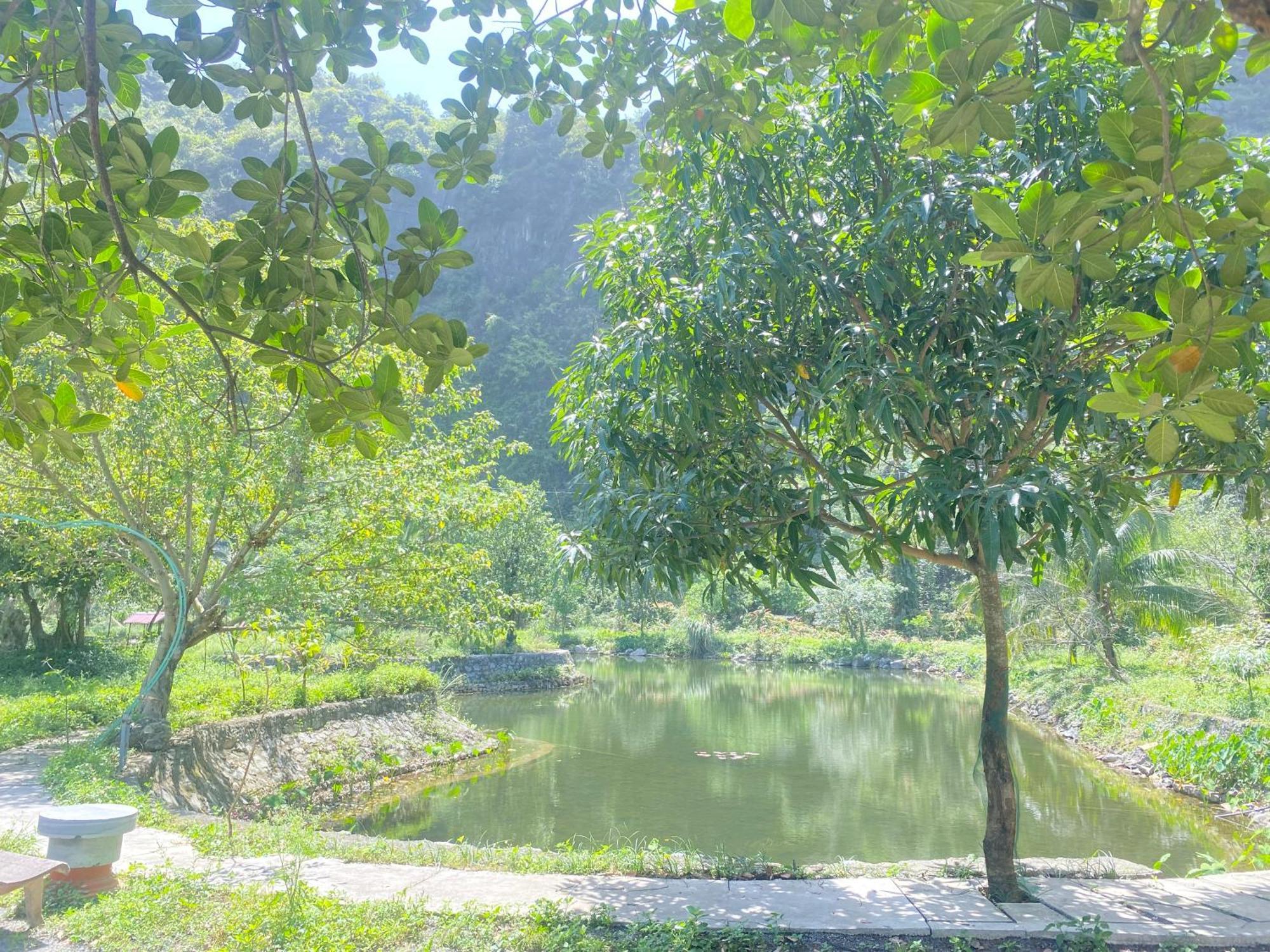 Tam Coc Moutainside Homestay Ninh Bình Kültér fotó
